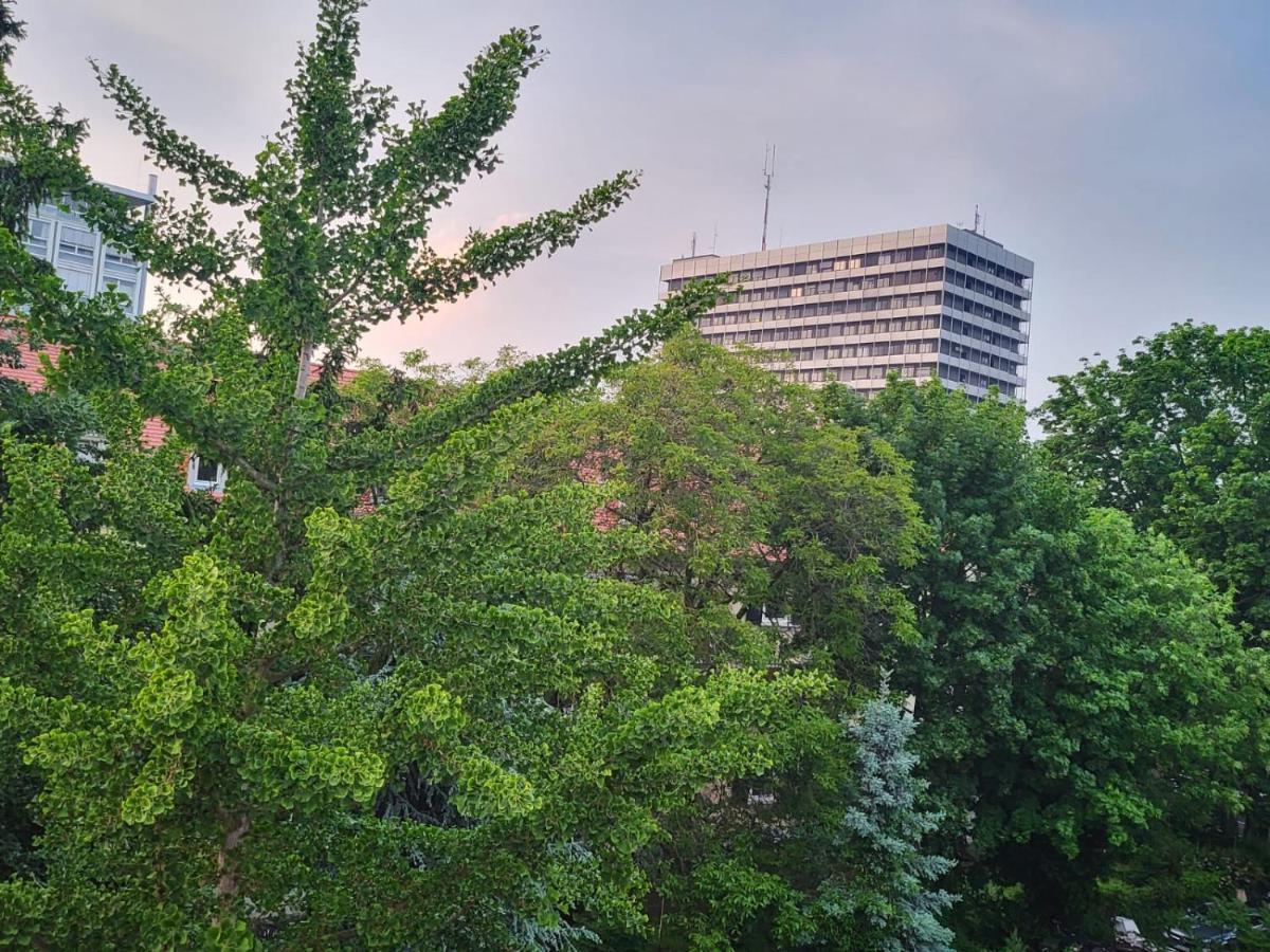 Privatzimmer An Der Uniklinik Mainz - Nur Fuer Weibliche Gaeste Apartment Екстериор снимка
