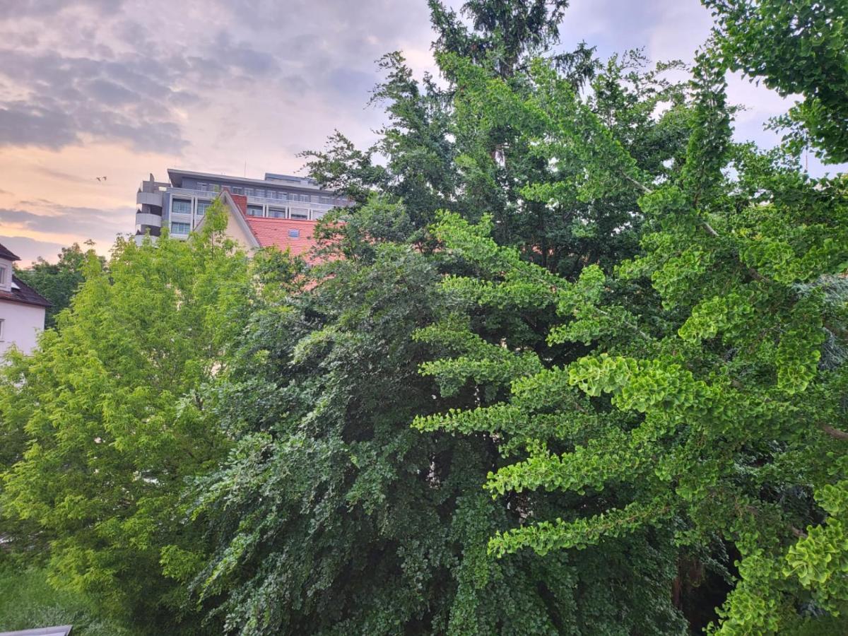 Privatzimmer An Der Uniklinik Mainz - Nur Fuer Weibliche Gaeste Apartment Екстериор снимка